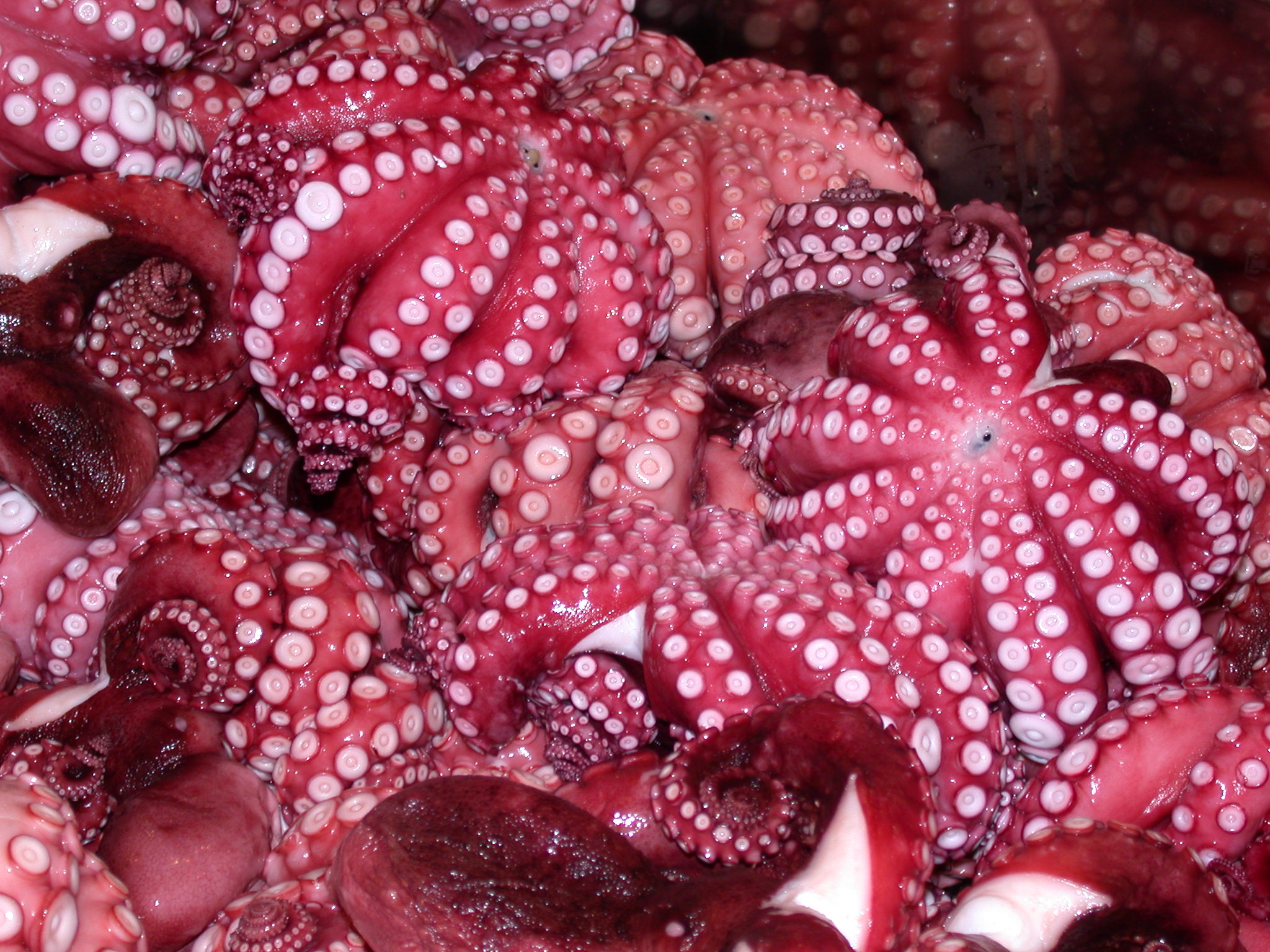 Tokyo Tsukiji Marche au poisson