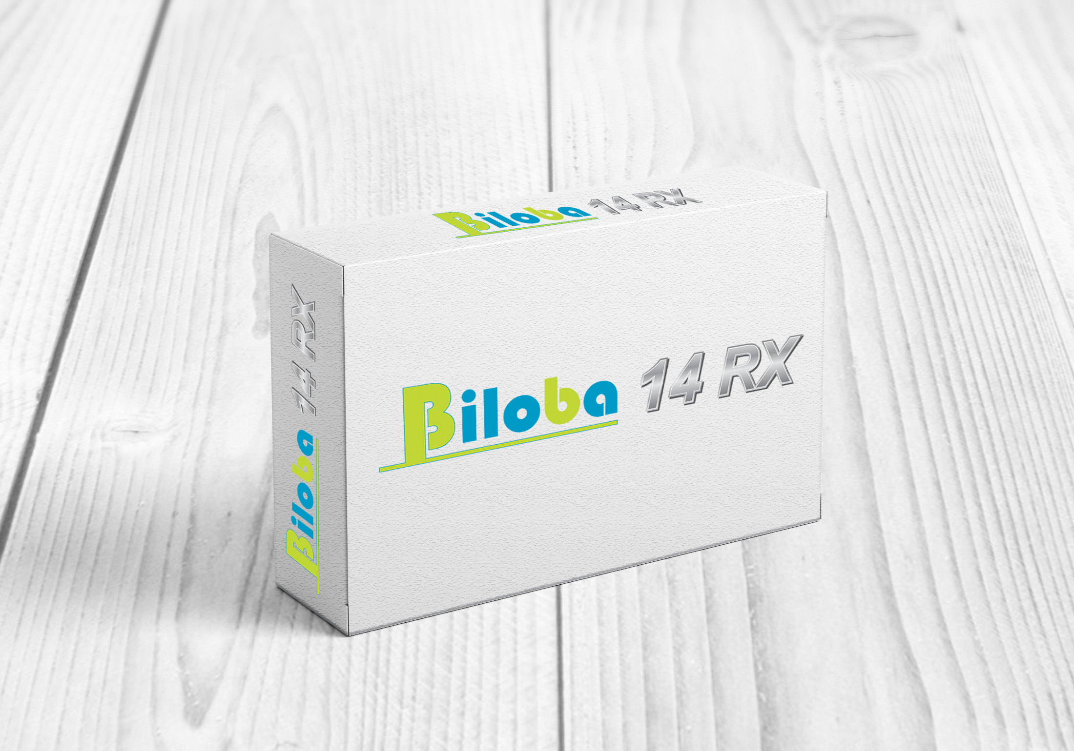 CRÉATION DU LOGO « BILOBA 14RX » ✨