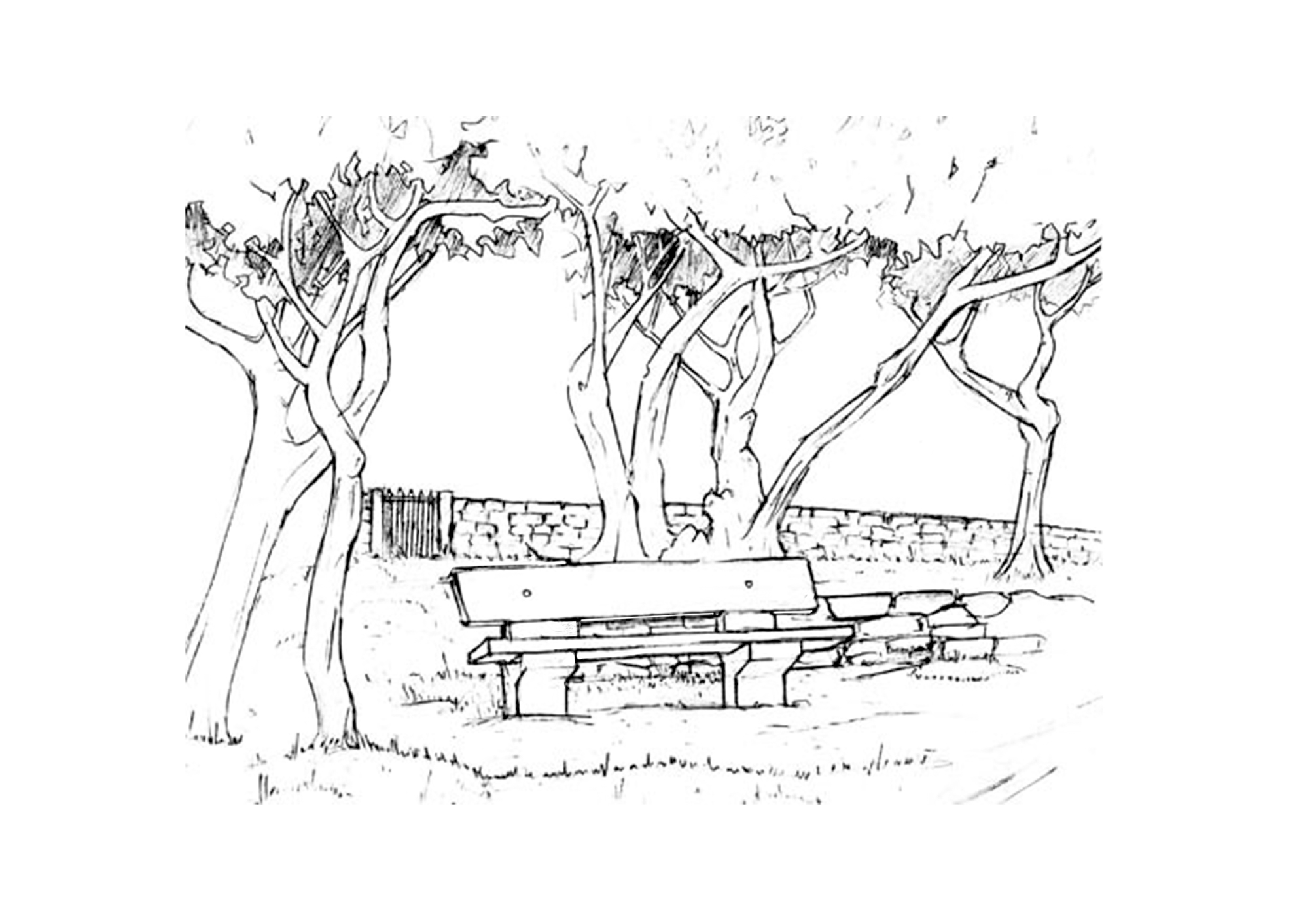 Croquis de l’île de Groix / 20mn – Une exploration graphique du Morbihan