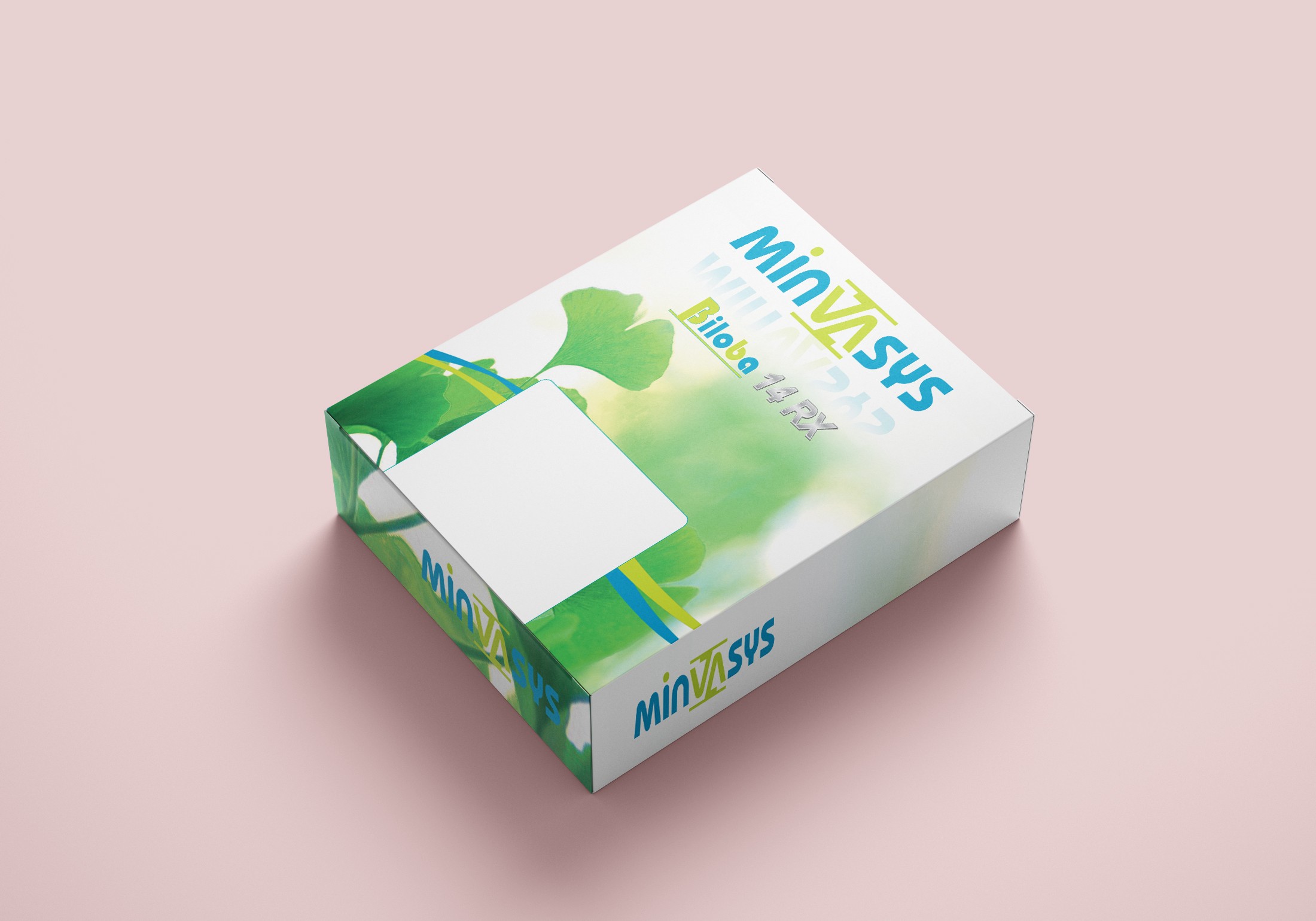 CRÉATION DU PACKAGING BILOBA 14RX POUR LA SOCIÉTÉ MINVASYS