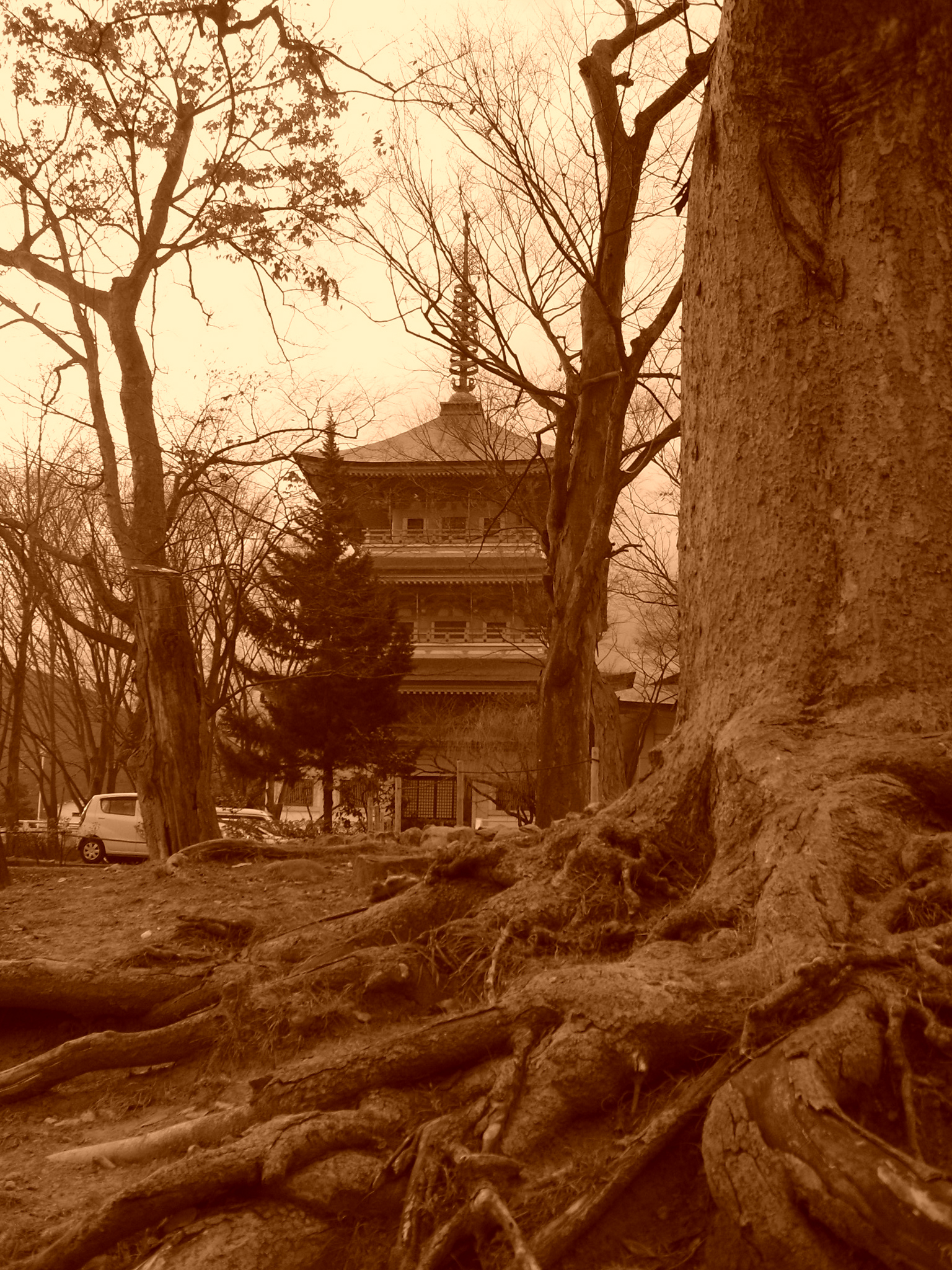 善光寺 Temple Zenko-ji / Nagano – Japon
