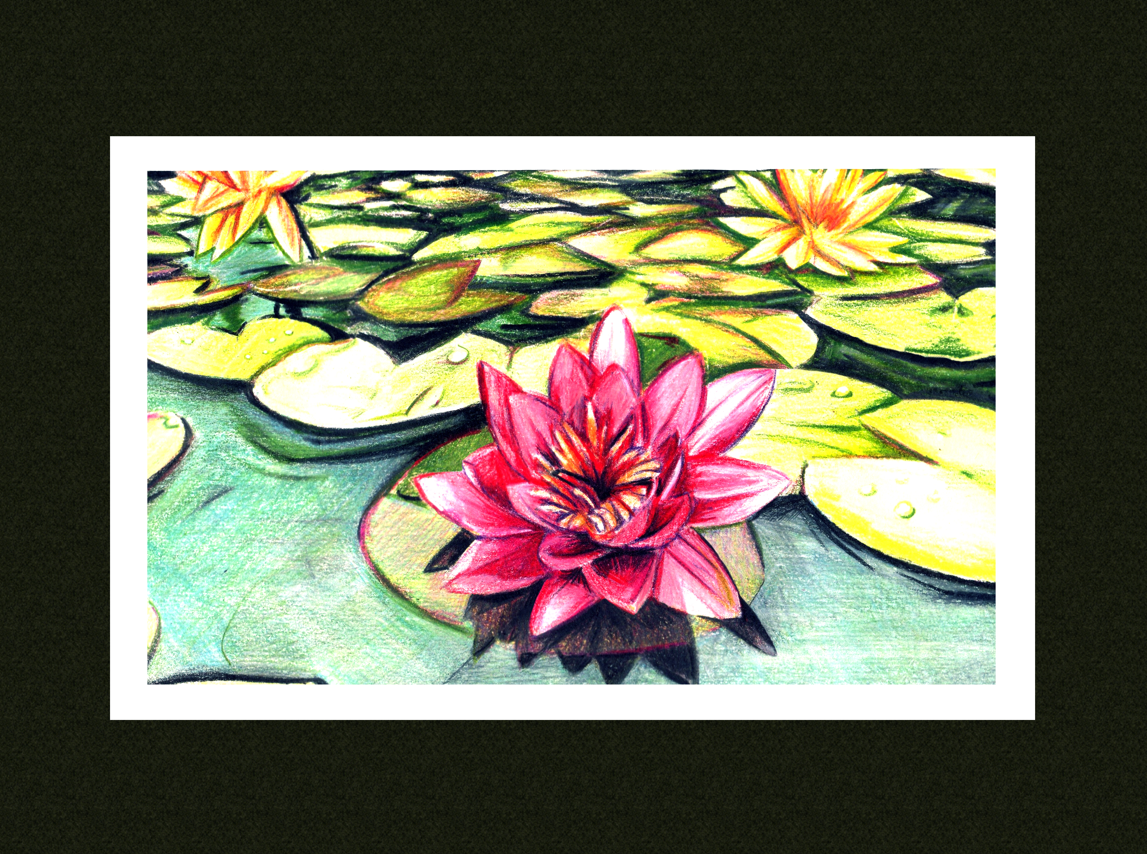 ILLUSTRATION AUX CRAYONS DE COULEURS