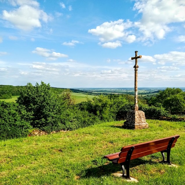 Thizy est une commune rurale, car elle fait partie des communes peu ou très peu denses, au sens de la grille communale de densité de l'Insee