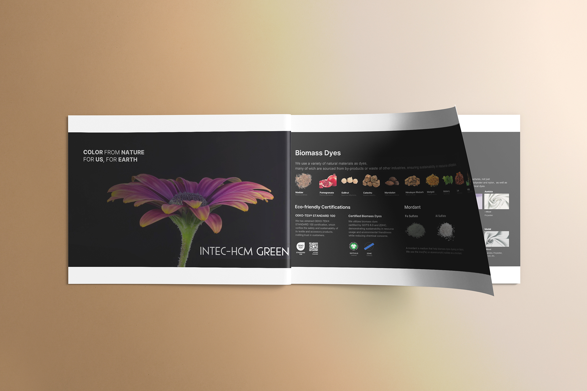 Quand une entreprise innovante rencontre une approche graphique sur-mesure, cela donne naissance à un projet aussi stimulant qu’engagé. INTEC-HCM GREEN, acteur clé des teintures textiles écologiques, nous a confié la création d’une brochure de 20 pages pour mettre en lumière ses technologies respectueuses de l’environnement.